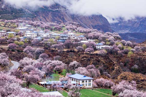 西藏旅游