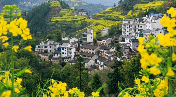 國(guó)內(nèi)旅游