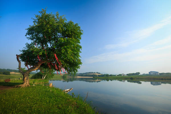 國內(nèi)旅游