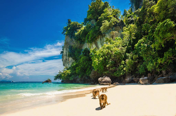 泰國旅游