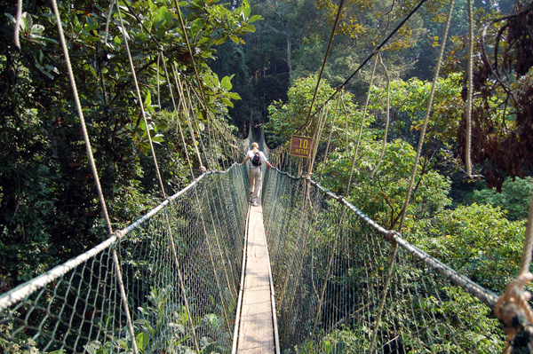 泰國旅游