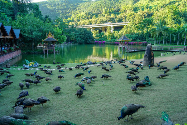 西南旅游