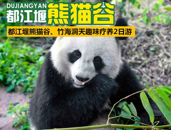 國內(nèi)旅游