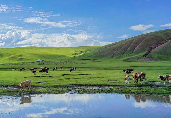 漠河旅游