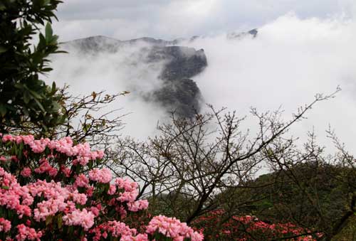 西南旅游
