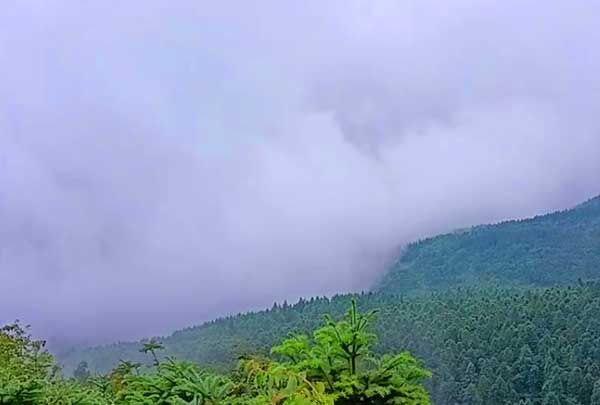 涪陵旅游