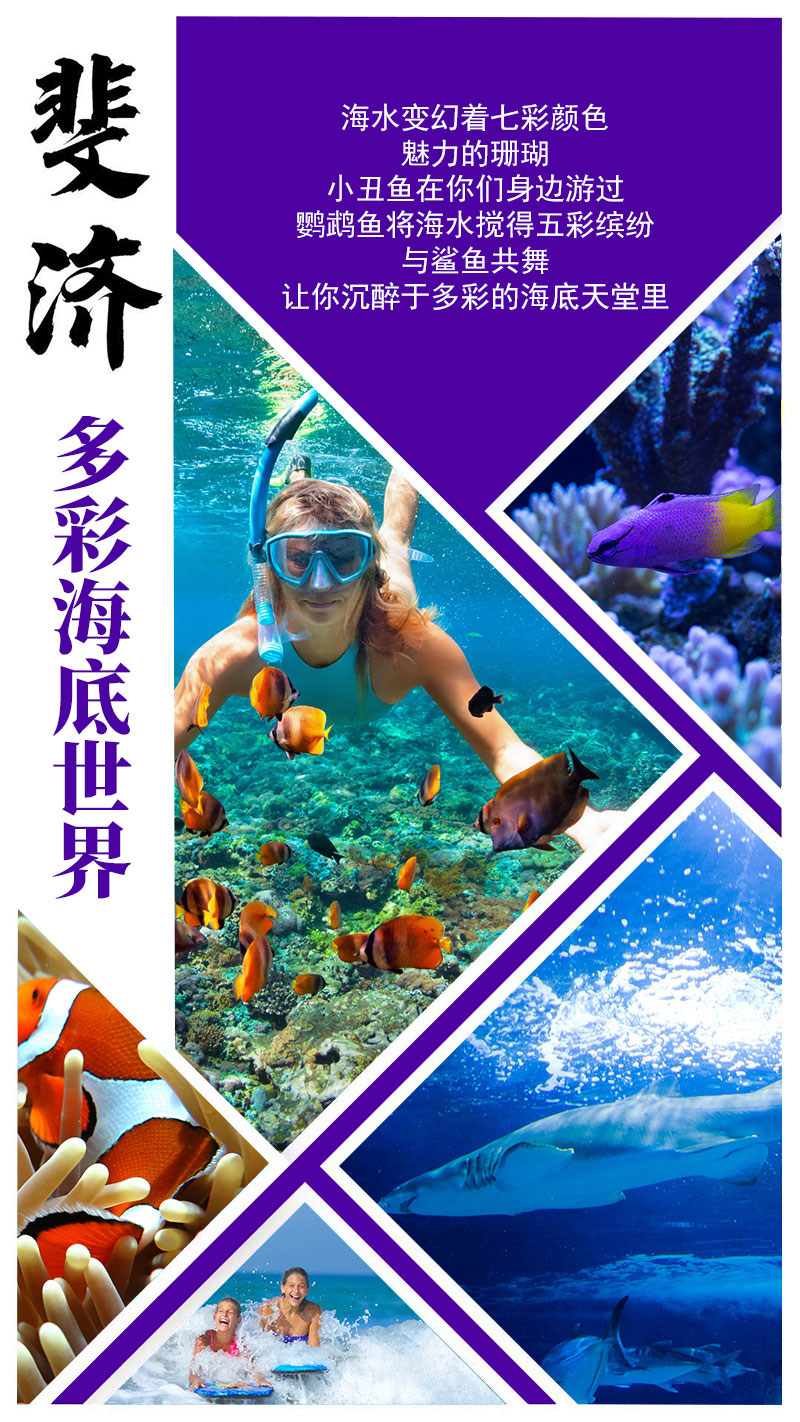 斐濟(jì)包裝002