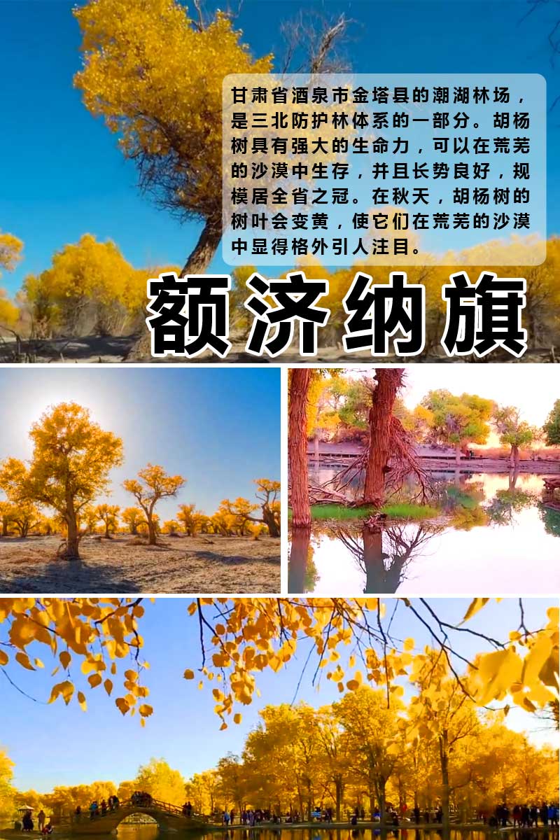 敦煌額濟納旗
